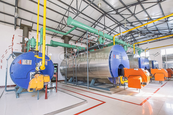 6噸WNS冷凝式燃?xì)庹羝仩t項目-濟(jì)仁藥業(yè)