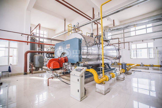 6噸WNS冷凝式燃?xì)忮仩t項(xiàng)目