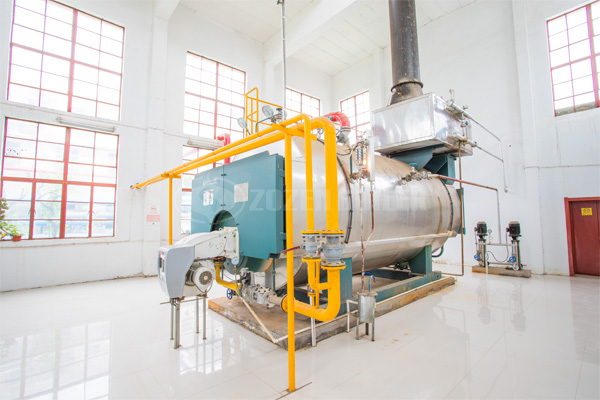 6噸WNS系列冷凝式燃?xì)庹羝仩t項(xiàng)目