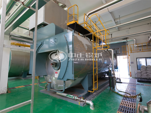 12噸WNS系列冷凝式燃?xì)庹羝仩t項目